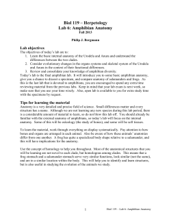 Biol 119 &ndash; Herpetology Lab 6: Amphibian Anatomy