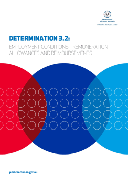 determination 3.2 - Office for the Public Sector