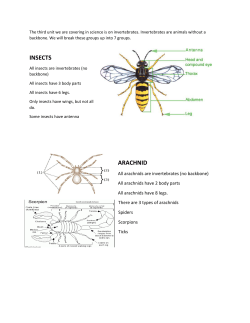 Invertebrates - Granite School District