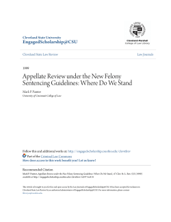 Appellate Review under the New Felony Sentencing Guidelines