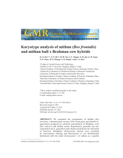 Karyotype analysis of mithun