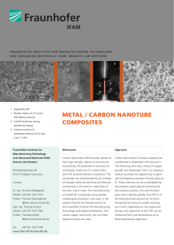 Metal-Carbon Nanotube Composites