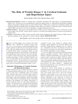 The Role of Protein Kinase C in Cerebral Ischemic and