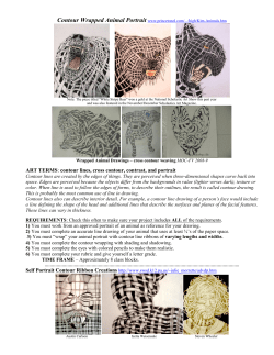 ART TERMS: contour lines, cross contour, contrast, and portrait