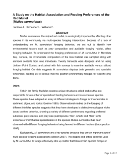 A Study on the Habitat Association and Feeding Preferences of the