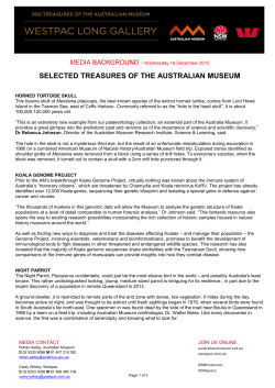 6. Media Background – AM Treasures