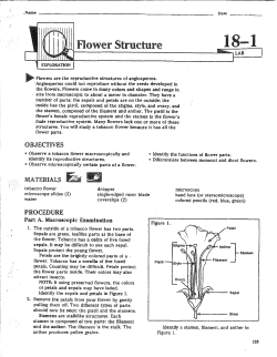 Flower Structure Lab