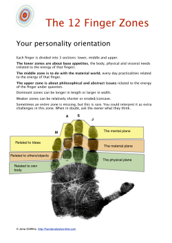 The 12 Finger Zones - Hands Analysis Online