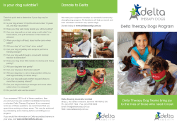 the Delta Therapy Dogs information brochure