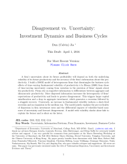 Disagreement vs. Uncertainty: Investment Dynamics