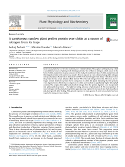 pdf version