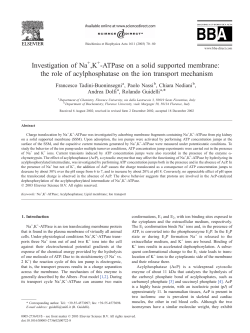 Investigation of Na ,K -ATPase on a solid supported membrane: the