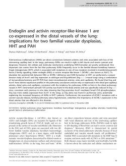 Endoglin and activin receptor-like-kinase 1 are co