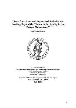Arab Americans and Segmented Assimilation: Looking