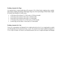 Feeding Amounts for Dogs