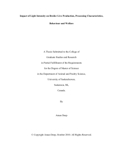 Impact of Light Intensity on Broiler Live Production