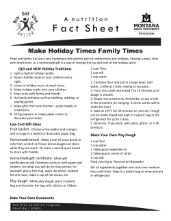 Make Holiday Times Family Times