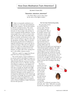 How Does Meditation Train Attention?