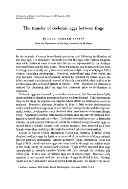 The transfer of coelomic eggs between frogs