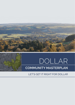 Dollar Community Masterplan Report
