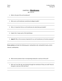 CHAPTER 4: Membranes