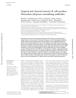 Atypical and classical memory B cells produce Plasmodium