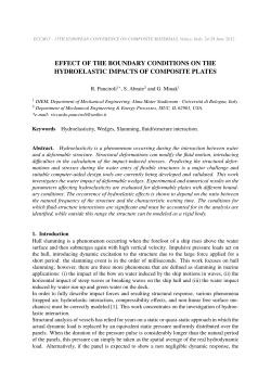 effect of the boundary conditions on the hydroelastic impacts of