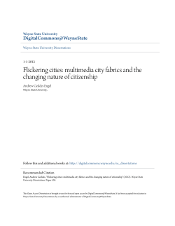 multimedia city fabrics and the changing nature of citizenship
