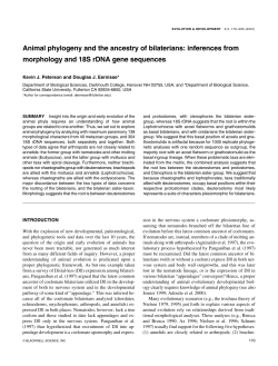 Animal phylogeny and the ancestry of bilaterians: inferences from
