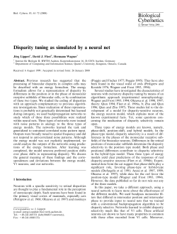 Disparity tuning as simulated by a neural net