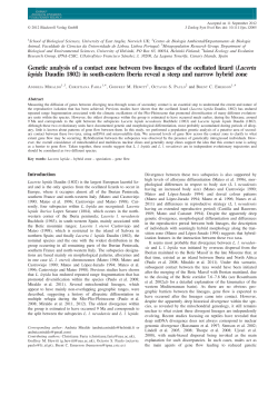 Lacerta lepida Daudin 1802 - IPNA-CSIC