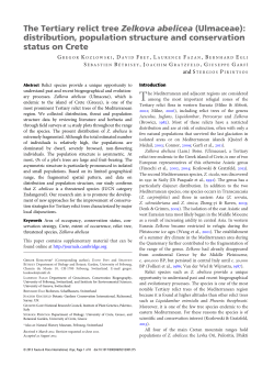 The Tertiary relict tree Zelkova abelicea
