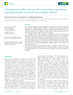 Extragynoecial pollentube growth in apocarpous angiosperms is