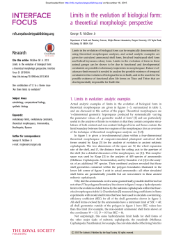 Limits in the evolution of biological form: a theoretical morphologic