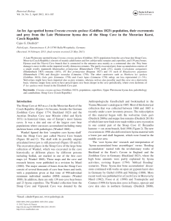 An Ice Age spotted hyena Crocuta crocuta spelaea (Goldfuss, 1823