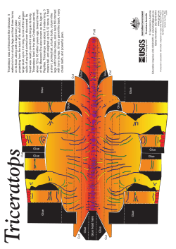 T riceratops was a rhinoceros-like dinosaur. It