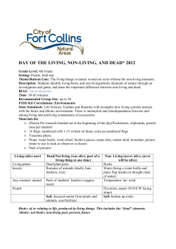 day of the living, non-living and dead 2012