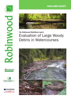 Evaluation of Large Woody Debris in Watercourses