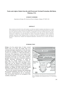 Facies and origin of shales from the mid