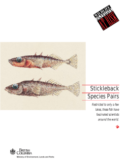 Stickleback Species Pairs - Province of British Columbia