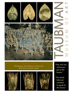 Prospectus - Taubman Museum of Art