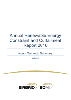 Annual Renewable Energy Constraint and Curtailment