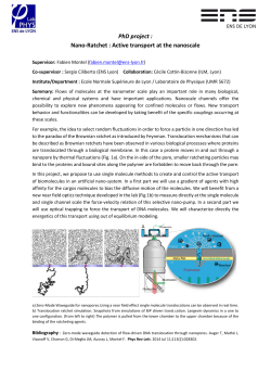 Nano-Ratchet : Active transport at the nanoscale