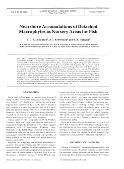 Nearshore Accumulations of Detached Macrophytes as Nursery