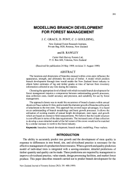 modelling branch development for forest
