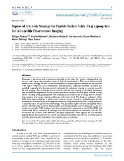 Improved Synthesis Strategy for Peptide Nucleic Acids (PNA