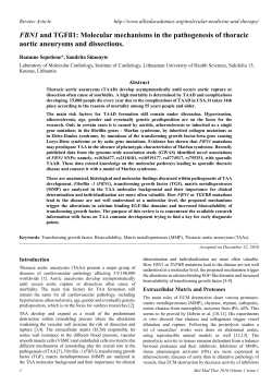 FBN1 and TGF&szlig;1: Molecular mechanisms in the