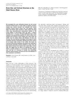 Brain Size and Cortical Structure in the Adult Human Brain