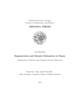 DIPLOMA THESIS Jan Hor&aacute;cek Segmentation and Density