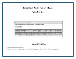 Timesheet Audit Report Quick Tips